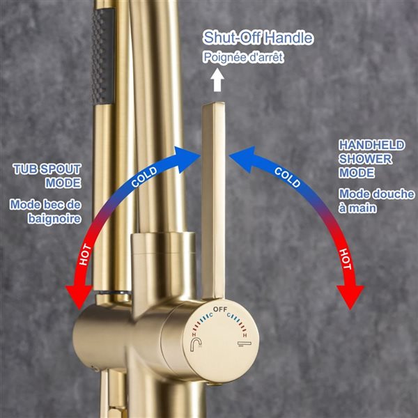 RAINLEX Single-Handle Floor Mounted Tub Filler with Diverter and Hand Shower in Brushed Gold