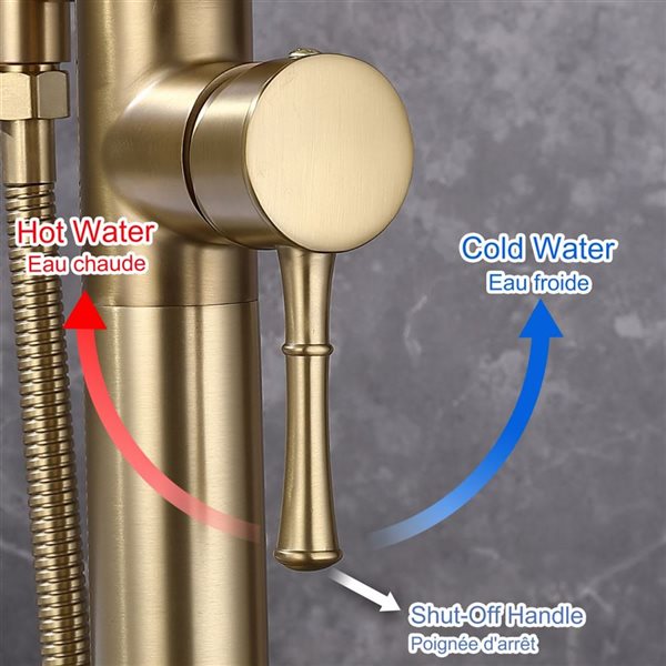 RAINLEX 2-Handle Floor Mounted Tub Spout with Diverter and Hand Shower in Brushed Gold