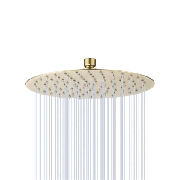 RAINLEX 10-in Round Ultra-Thin Rain Fixed Shower Head in Brushed Gold