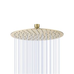 RAINLEX 10-in Round Ultra-Thin Rain Fixed Shower Head in Brushed Gold