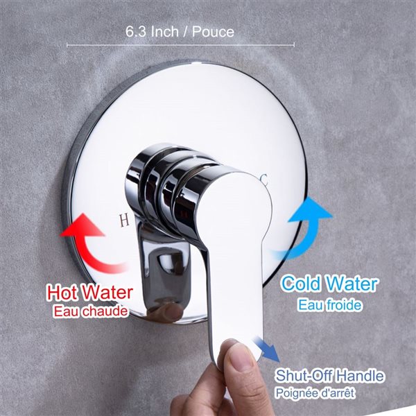 RAINLEX 10-in Showerhead Single-Handle 1-Spray Round High Pressure Shower Faucet in Chrome