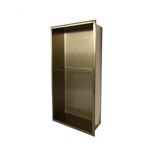 Agua Canada Nina 12 W x 24 H x 4-in D Brushed Gold 2-Tier Flush-Mount Bathroom Shower Niche