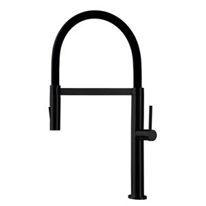 Agua Canada Miaggi Matte Black Single-Handle Pull Down Sprayer Kitchen Faucet w/ Ceramic Cartridge