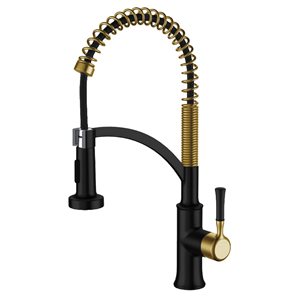 Agua Canada Magico Matte Black/Gold Industrial Style Single-Handle Pull Down Sprayer Kitchen Faucet