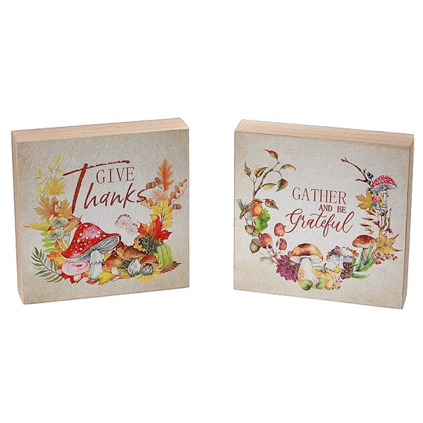 iH casadécor 4.72 L x 0.98 W x 4.72-in H Harvest Square Wooden Tabletop Decorations - Set of 2