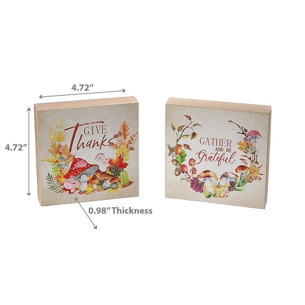 iH casadécor 4.72 L x 0.98 W x 4.72-in H Harvest Square Wooden Tabletop Decorations - Set of 2