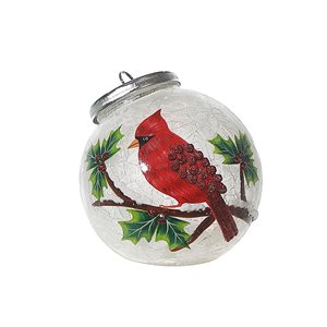 iH casadécor 4.72 L x 4.72 W x 5.12-in H Frosted Holly Berry Cardinal Ornament