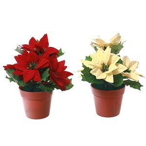 iH casadécor 8-in H Poinsettia Pot - Set of 2