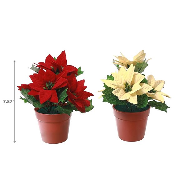 iH casadécor 8-in H Poinsettia Pot - Set of 2