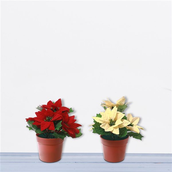 iH casadécor 8-in H Poinsettia Pot - Set of 2