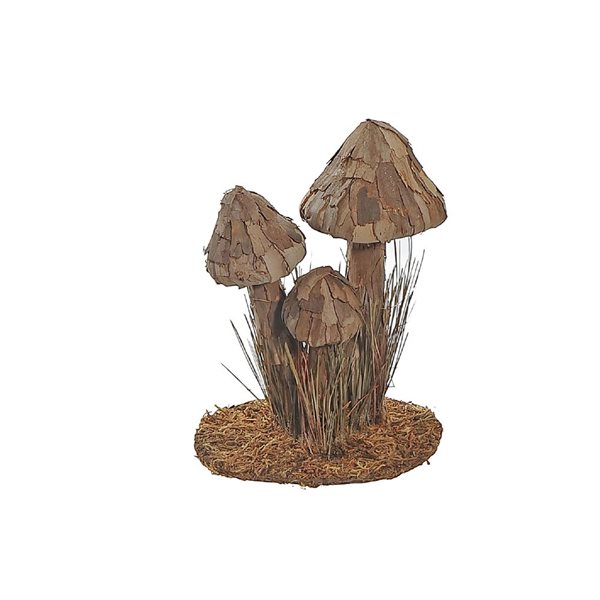 Écorce d'arbre iH casadécor Champignon Brun