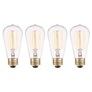 Globe Electric 60 W Vintage Edison S60 Squirrel Cage Incandescent Filament Light Bulb (4-Pack)