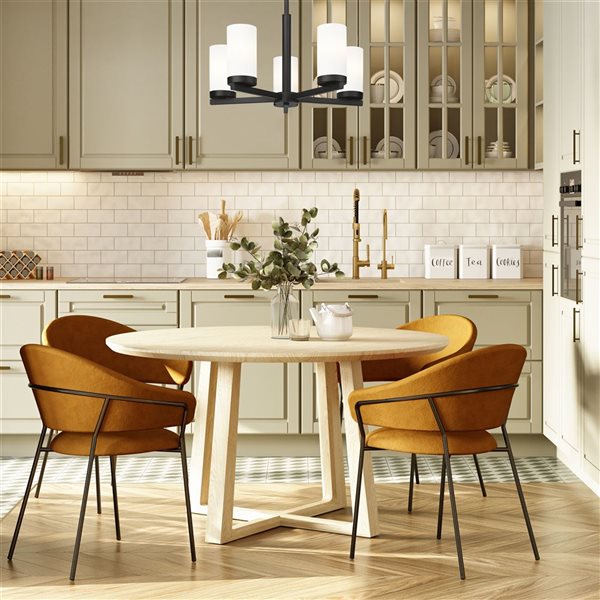 Z-Lite Danica Matte Black 5 Light Chandelier