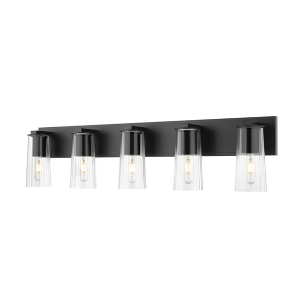 Z-Lite Titus Matte Black 5 Light Vanity