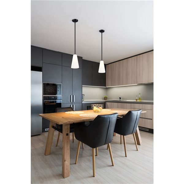 Z-Lite Farrell Matte Black 1 Light Pendant