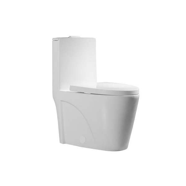 Toilette monobloc allongée Tyrone par Agua Canada blanc à double chasse, hauteur standard