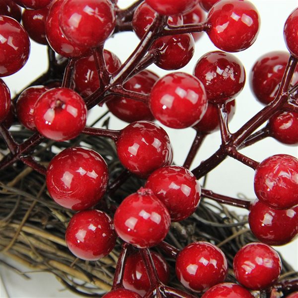 Northlight 16-in Crimson and Merlot Red Berries Artificial Winter Christmas Wreath - Unlit