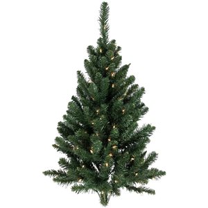 Northlight 3-ft Pre-Lit Buffalo Fir Artificial Christmas Wall or Door Tree  Clear AlwaysLit Lights