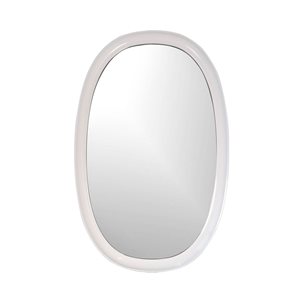 Hudson Home Modern 24 x 38-in White Plastic Oval Framed Wall-Mount Mirror