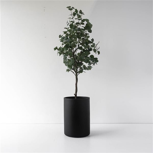 Bac à plantes rond grand format Barron Botaneeka de Hudson Home 13,78 po l. x 19,69 po h. en fibre de verre noir