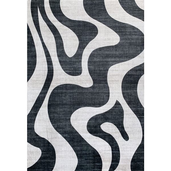 Tapis d'intérieur à imprimé zèbre abstrait noir et blanc Eclipse par Rug Branch 4 x 6 po