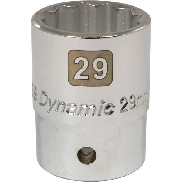 Dynamic Tools 3/4-in Drive 12 Point Metric, 29mm Standard Length, Chrome Finish Socket