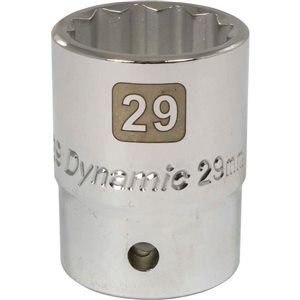 Dynamic Tools 3/4-in Drive 12 Point Metric, 29mm Standard Length, Chrome Finish Socket