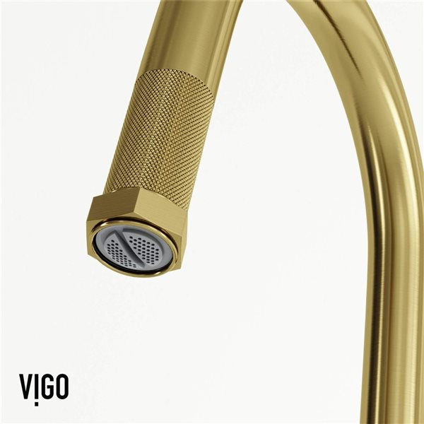 VIGO Hart Arched One-Handle Pull-Down Sprayer Kitchen Faucet with Soap Dispenser - Matte Brushed Gold