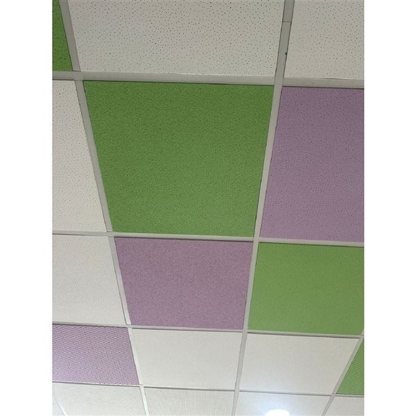 Dalles de plafond Bricks de Wexstar 24 x 24 po blanc résistant à l'eau et au feu en silicate de calcium 12/pqt