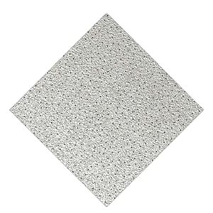 Dalles de plafond Sand Stone de Wexstar 24 x 24 po blanc résistant à l'eau et au feu en silicate de calcium 12/pqt