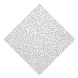 Dalles de plafond Lunar de Wexstar 24 x 24 po blanc résistant à l'eau et au feu en silicate de calcium 12/pqt