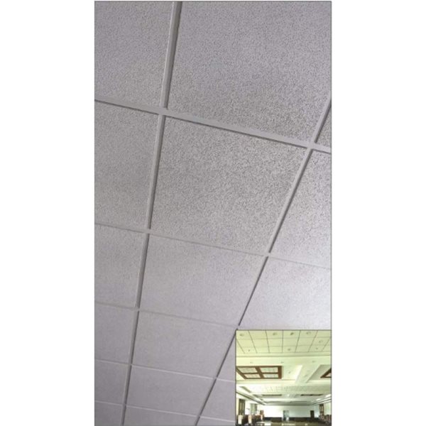 Wexstar 24 x 24-in Wave 12-Pack White Calcium Silicate Water/Fire Resistant Ceiling Tiles