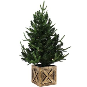 Sunnydaze Decor 3-ft Battery Operated Pre-Lit Farmhouse Fir Artificial Christmas Tree