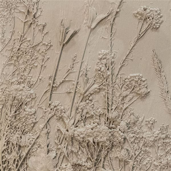 Gild Design House Enchanted Garden II, 20" x 24" Shadow Box