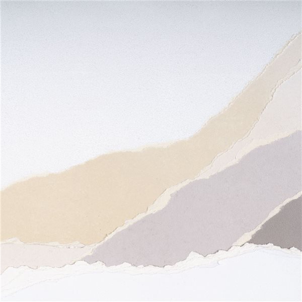 Gild Design House Veiled Vista II, Shadow Box