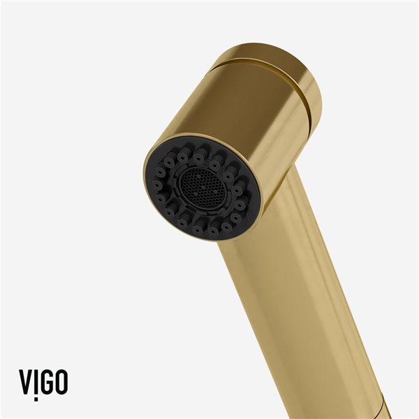 VIGO Branson Matte Brushed Gold Single-Handle Pull-Out Sprayer Kitchen Faucet