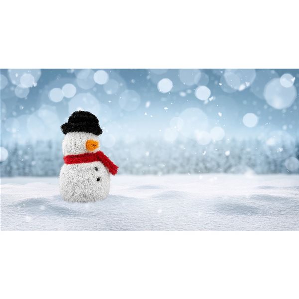 naturae decor 17-in H Black/White/Red Outdoor Holiday Figurine - Snowman