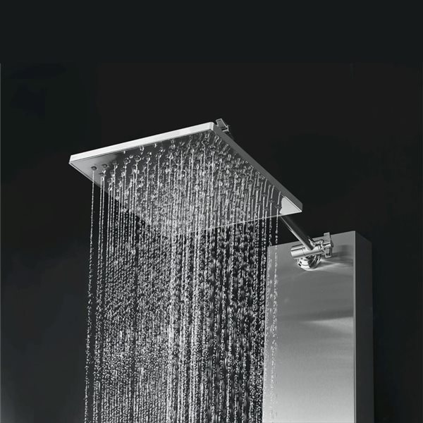Blue Ocean 48-in Stainless Steel Shower Panel Tower w/ Rainfall Shower Head, Handheld Shower Head and Spout