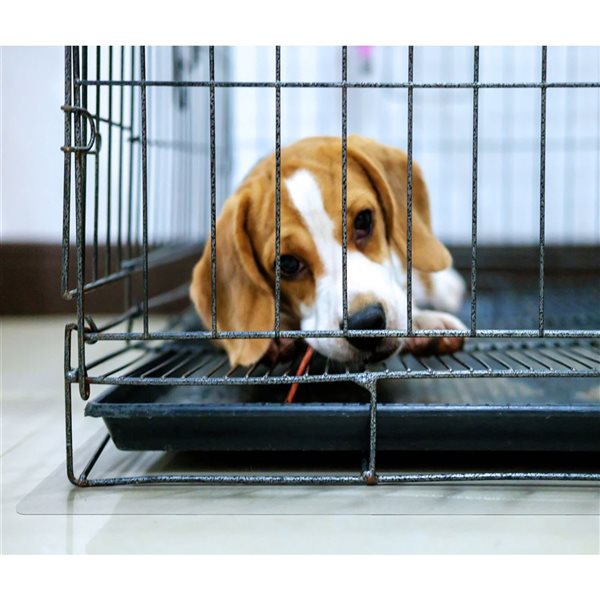 P-Tex 48 x 53-in Clear Polycarbonate Dog Crate Floor Protector