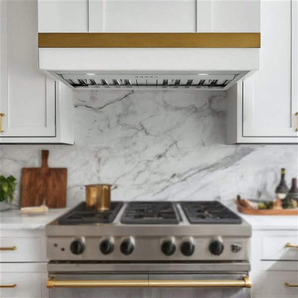 Caloric 28-in 600 CFM 3-Speed LED Pro Range Hood Insert with Push-Button Controls - Stainless Steel