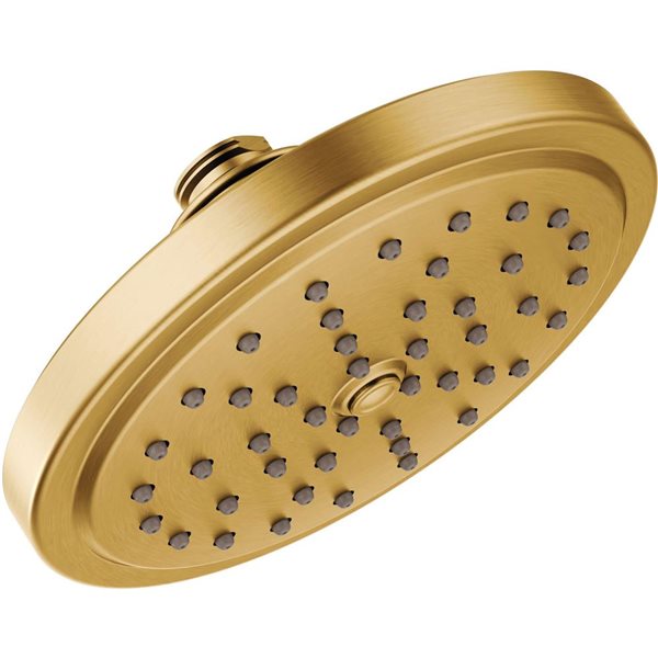 MOEN Fina 6.75-in dia Brushed Gold 1-Function Eco-Performance Rainfall Showerhead