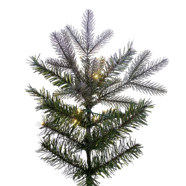 Vickerman 10-ft x 54-in Frosted Douglas Fir Full Artificial Christmas Tree w/ 2000 Warm White LED Lights