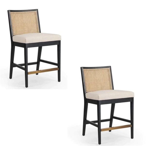 TAKE ME HOME Ayansh Cane 2-Pack Black Upholstered Armless 27-in H Bar Stool