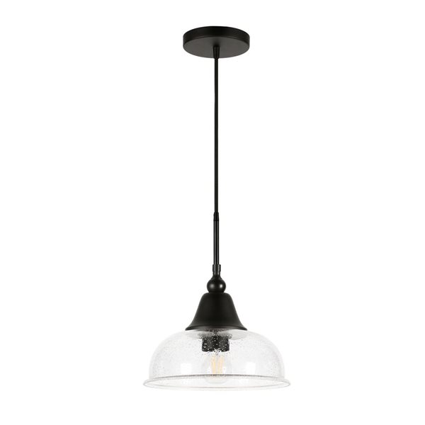 Hailey Home Magnolia 10.75-in W Black Pendant Ceiling Light w/ Clear Glass Shade