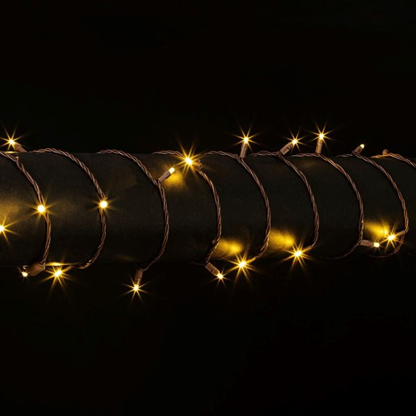 Vickerman 50-ft 100 Warm White Single Mould Wide Angle LED Christmas Light Set