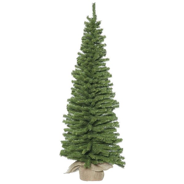 Vickerman 36 x 12-in Mini Pine Full Artificial Christmas Tree with 221 PVC Tips - Unlit