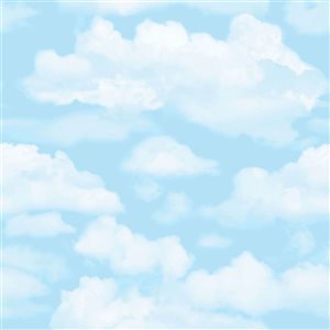 Transform Sky Blue 30.75-ft² Peel and Stick Wallpaper