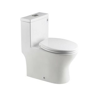 Woodbridge One Piece Dual-Flush Toilet, Round Design, Soft-Closing Seat, Brushed Nickel Button