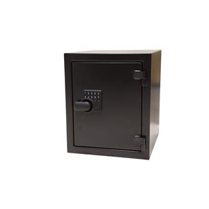 Ridgeline 1.7-ft³ Fireproof Security Safe