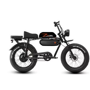 Vélo électrique GoTyger 500 W 20 po 4.0 Fat Tire 2 places